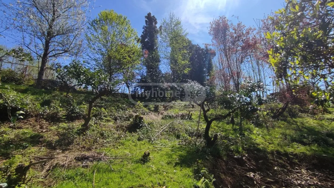 For Sale Ara Sasoplo-Sameurneo Land Plot Kobuletis Munitsipalitetshi view 5