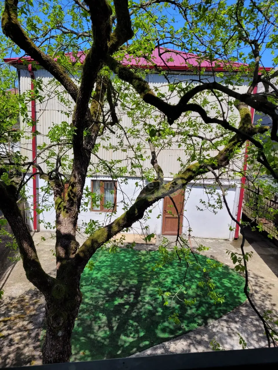 For Sale 9 Room Private House Kobuletshi view 11