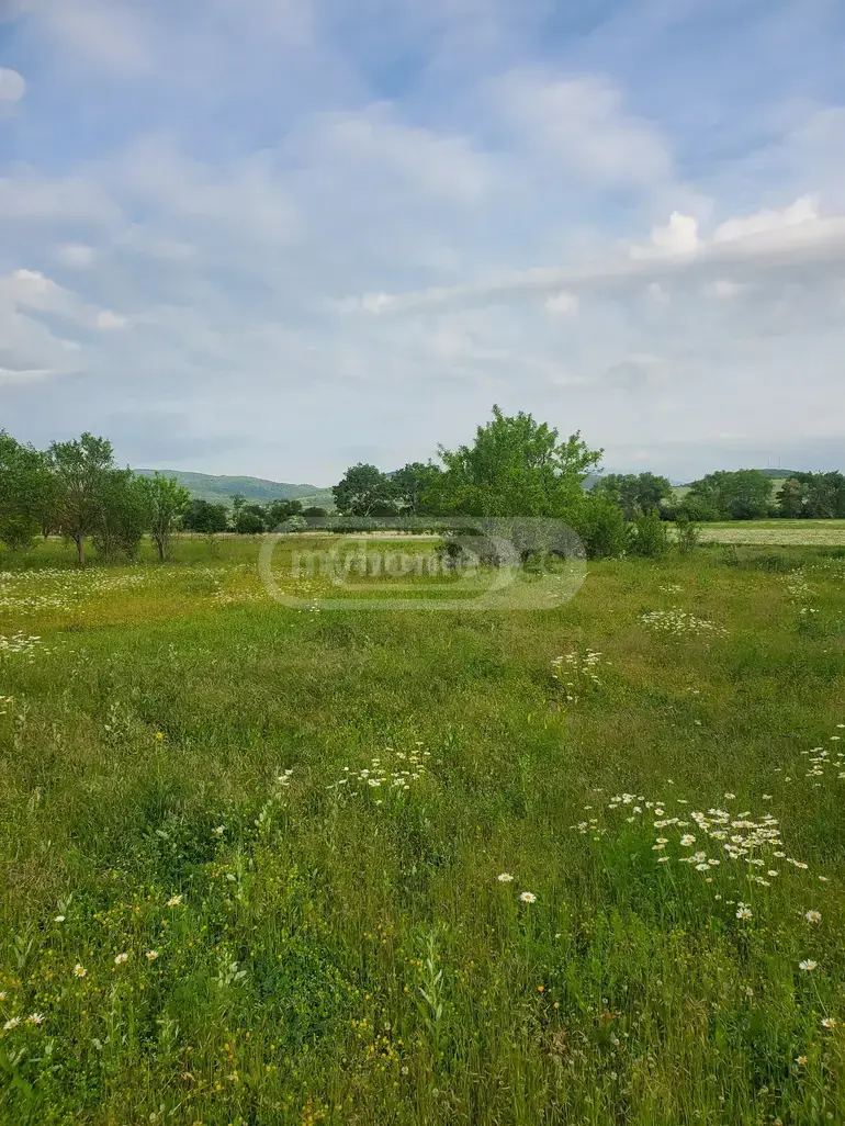 For Sale Sasoplo-Sameurneo Land Plot Dushetis Munitsipalitetshi view 8