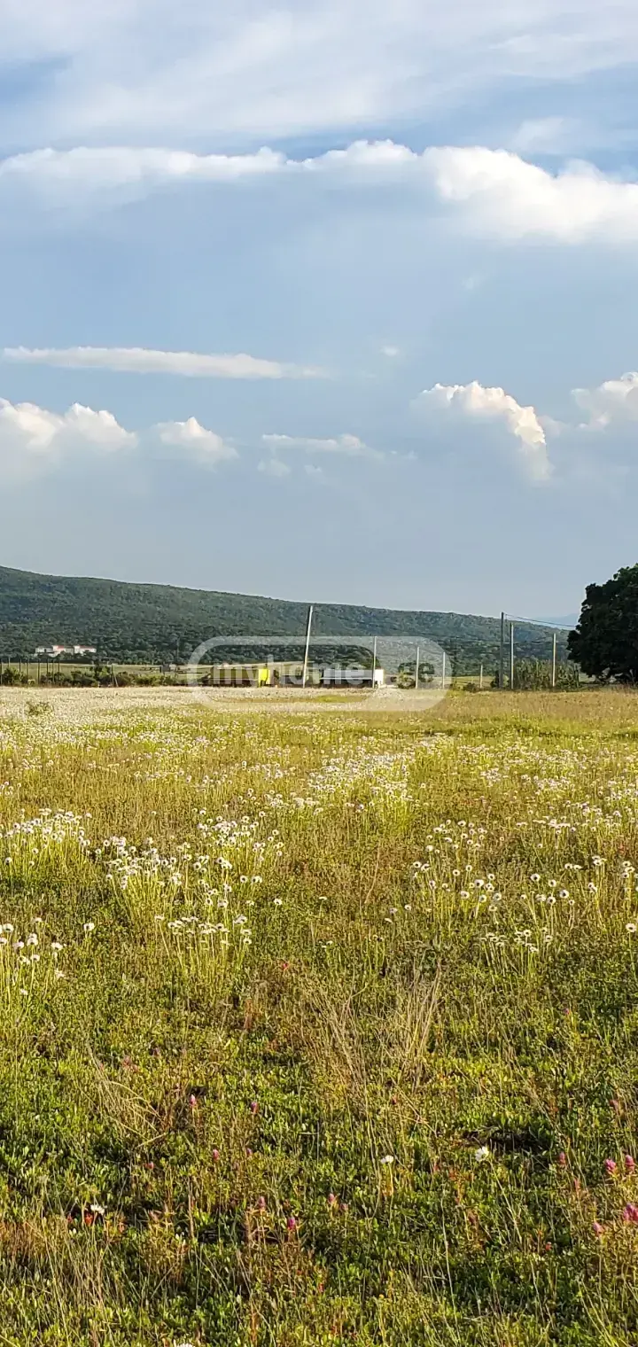 For Sale Sasoplo-Sameurneo Land Plot Dushetis Munitsipalitetshi view 3