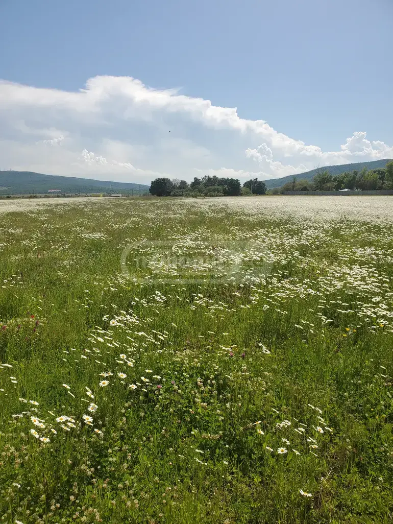 For Sale Sasoplo-Sameurneo Land Plot Dushetis Munitsipalitetshi view 5