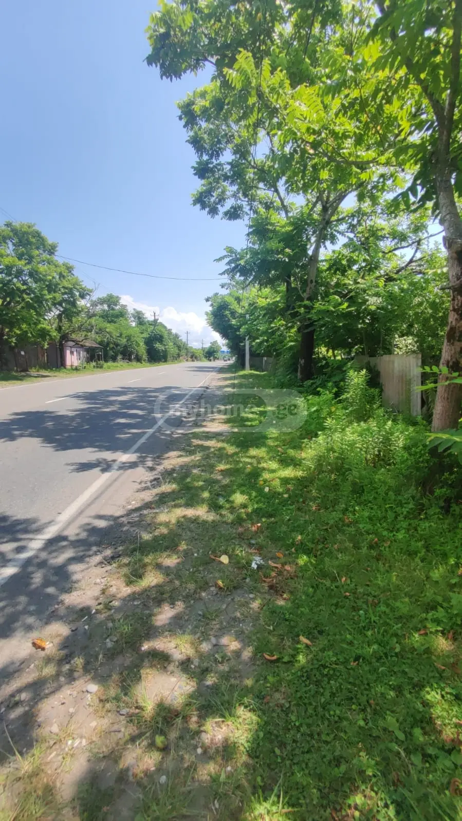 For Sale Sasoplo-Sameurneo Land Plot Lanchkhutis Munitsipalitetshi view 2
