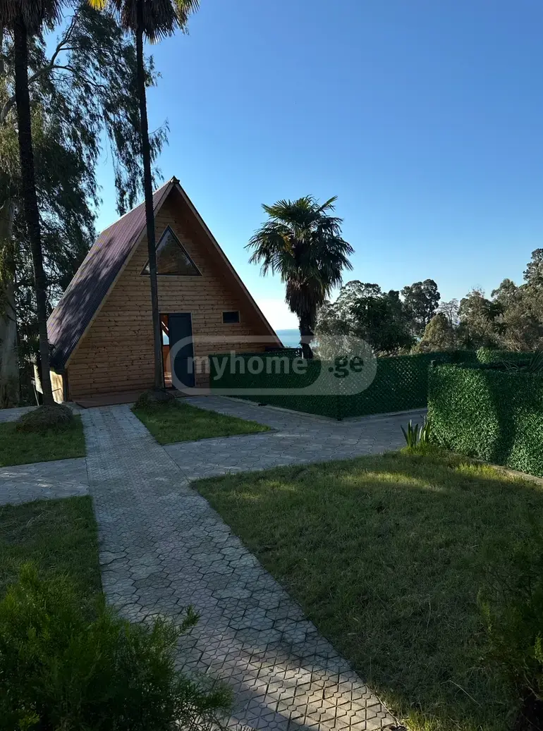 For Rent 2 Room Country House Navtlughshi, 10 of 12