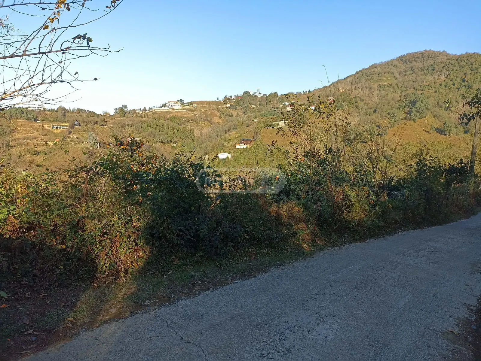 For Sale Sasoplo-Sameurneo Land Plot In Batumi view 7