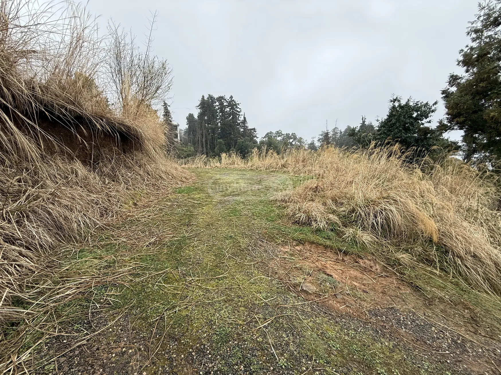 For Sale Sasoplo-Sameurneo Land Plot In Batumi view 3