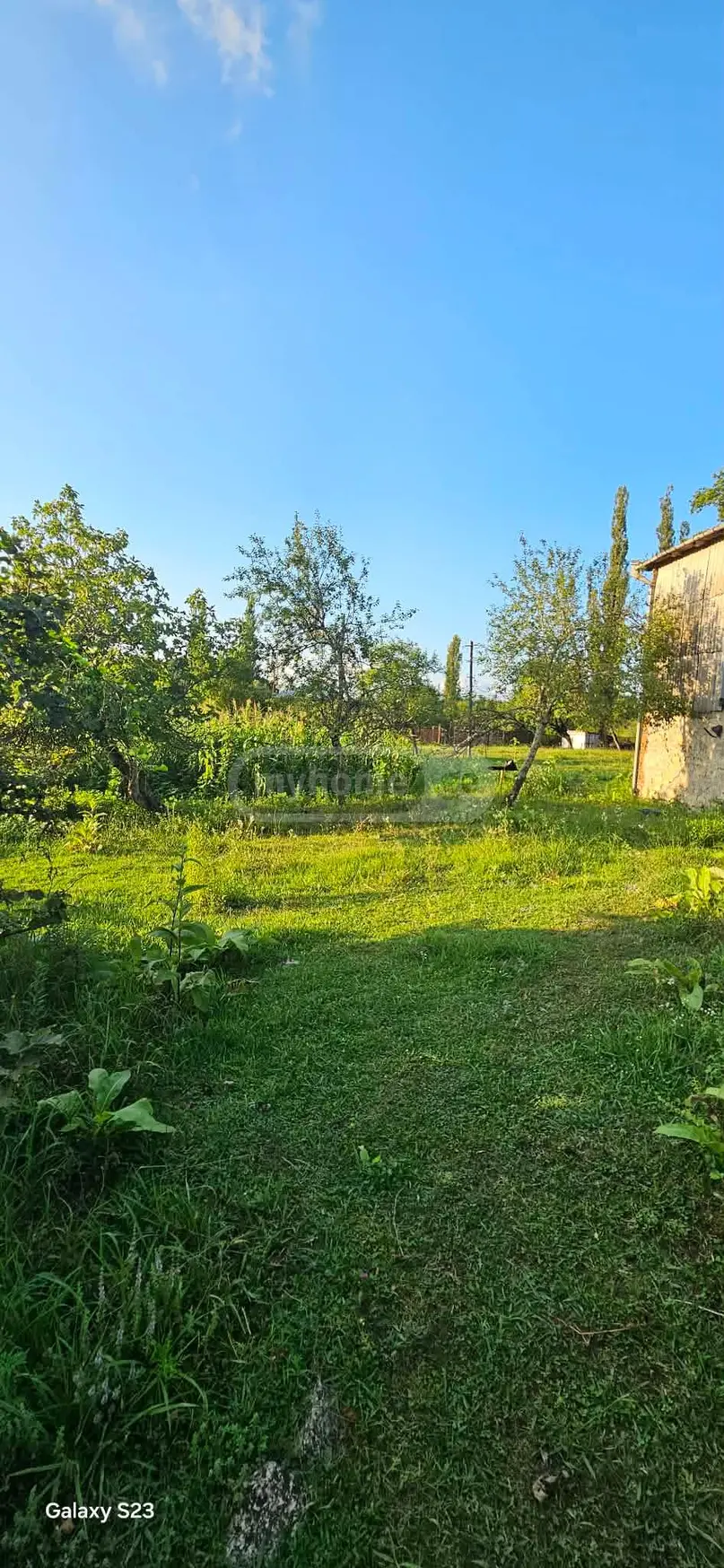 For Sale Ara Sasoplo-Sameurneo Land Plot Baghdatshi view 11