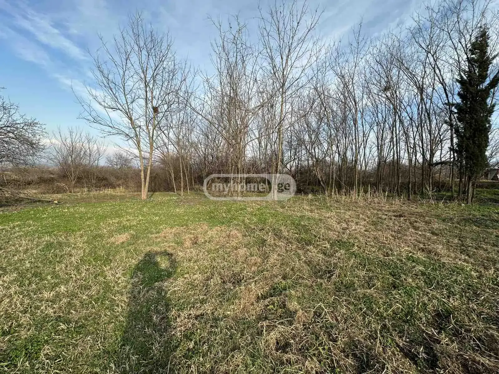 Продажа 6-комната Частный дом в Gurjaanshi view 11