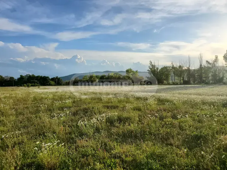 For Sale Sasoplo-Sameurneo Land Plot Dushetis Munitsipalitetshi view 8