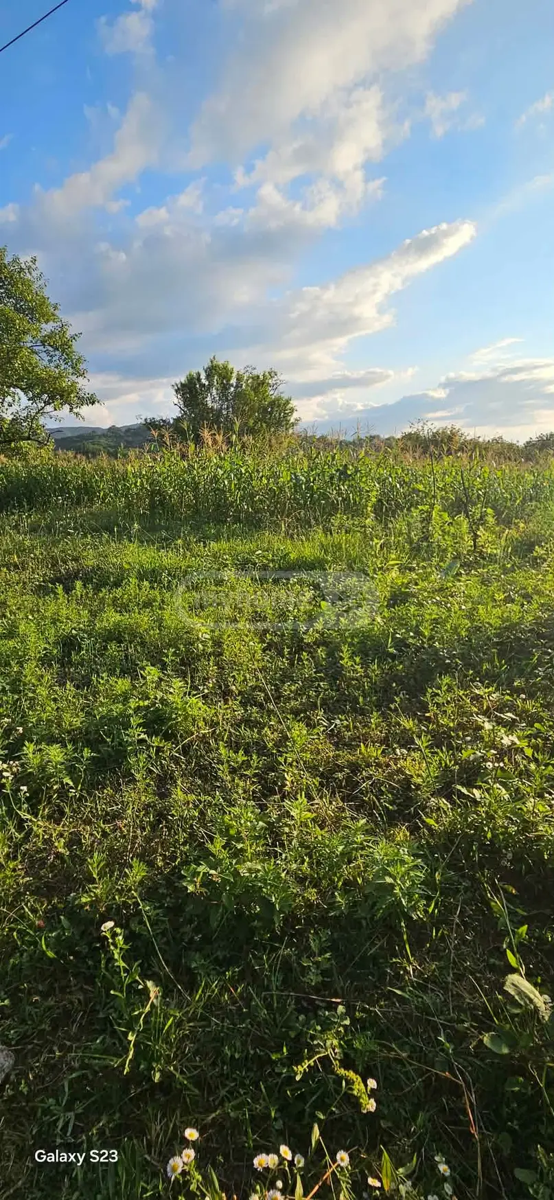 For Sale Ara Sasoplo-Sameurneo Land Plot Baghdatshi view 1