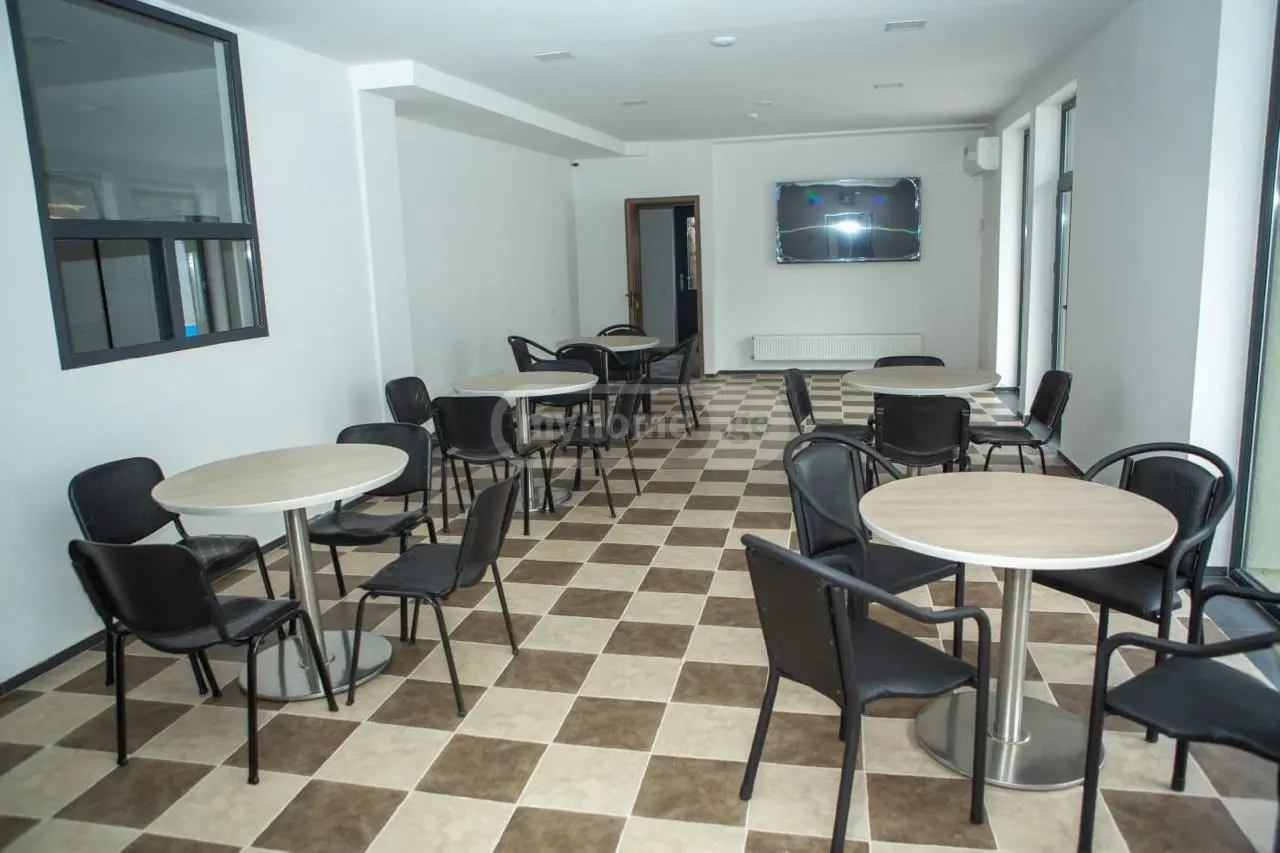 For Sale 10+ Room Sastumro Mtskhetashi view 8