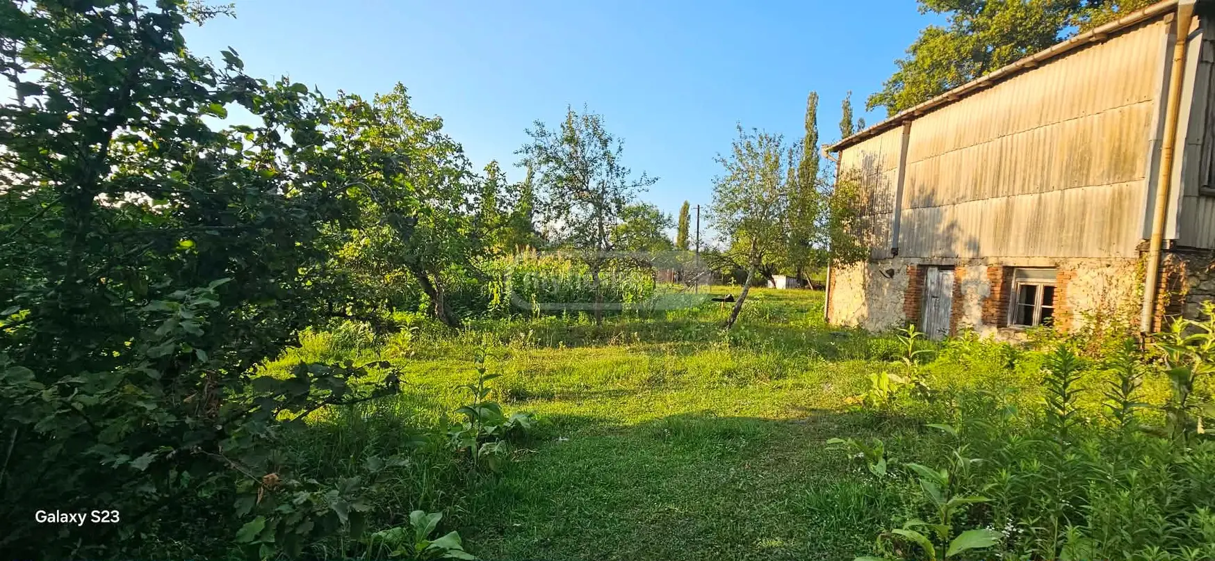 For Sale Ara Sasoplo-Sameurneo Land Plot Baghdatshi view 8