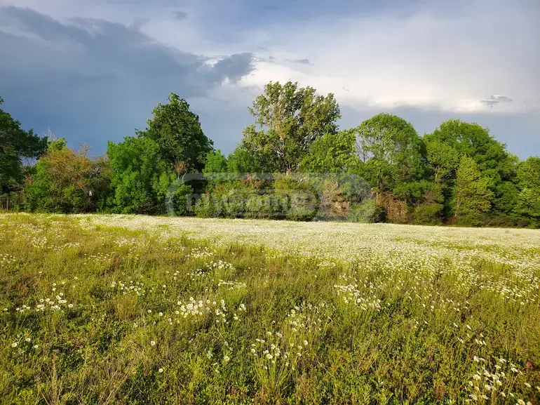 For Sale Sasoplo-Sameurneo Land Plot Dushetis Munitsipalitetshi view 1