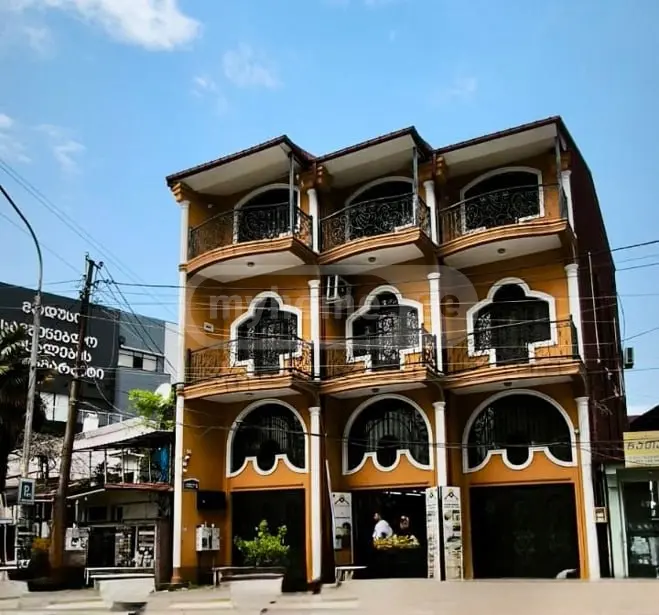 For Sale 10+ Room Private House In Batumi view 9