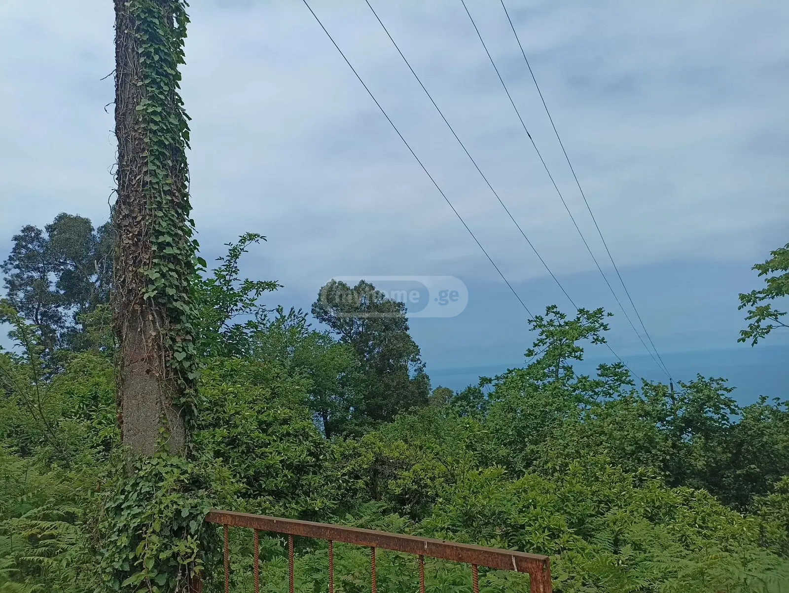 For Sale Sasoplo-Sameurneo Land Plot In Batumi view 1
