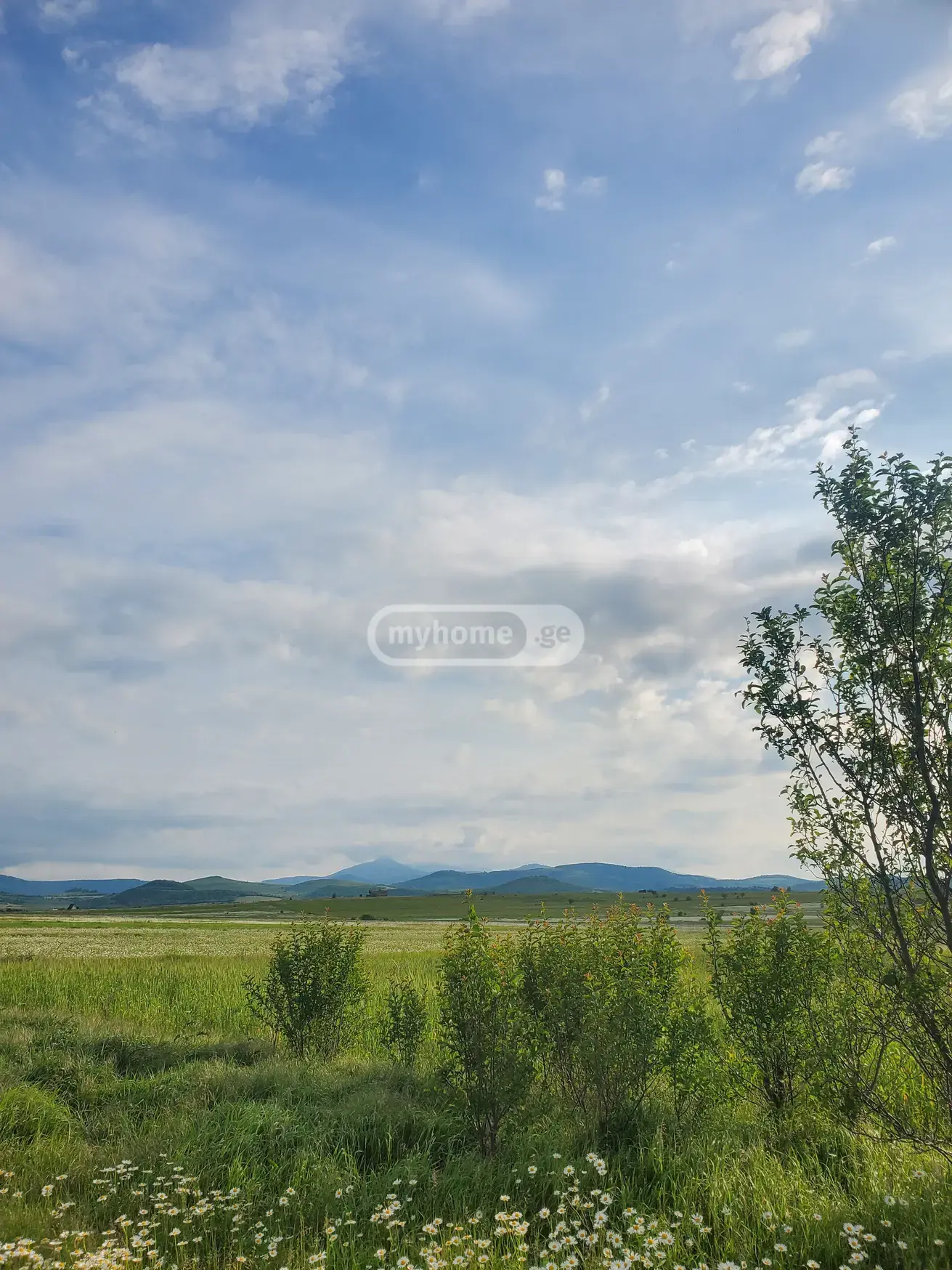 For Sale Sasoplo-Sameurneo Land Plot Dushetis Munitsipalitetshi view 20