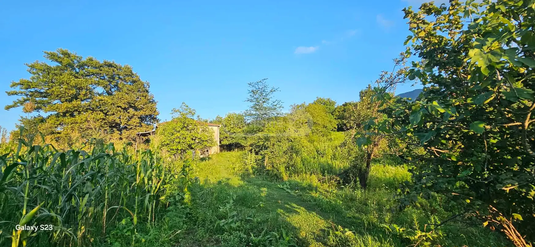 For Sale Ara Sasoplo-Sameurneo Land Plot Baghdatshi view 12