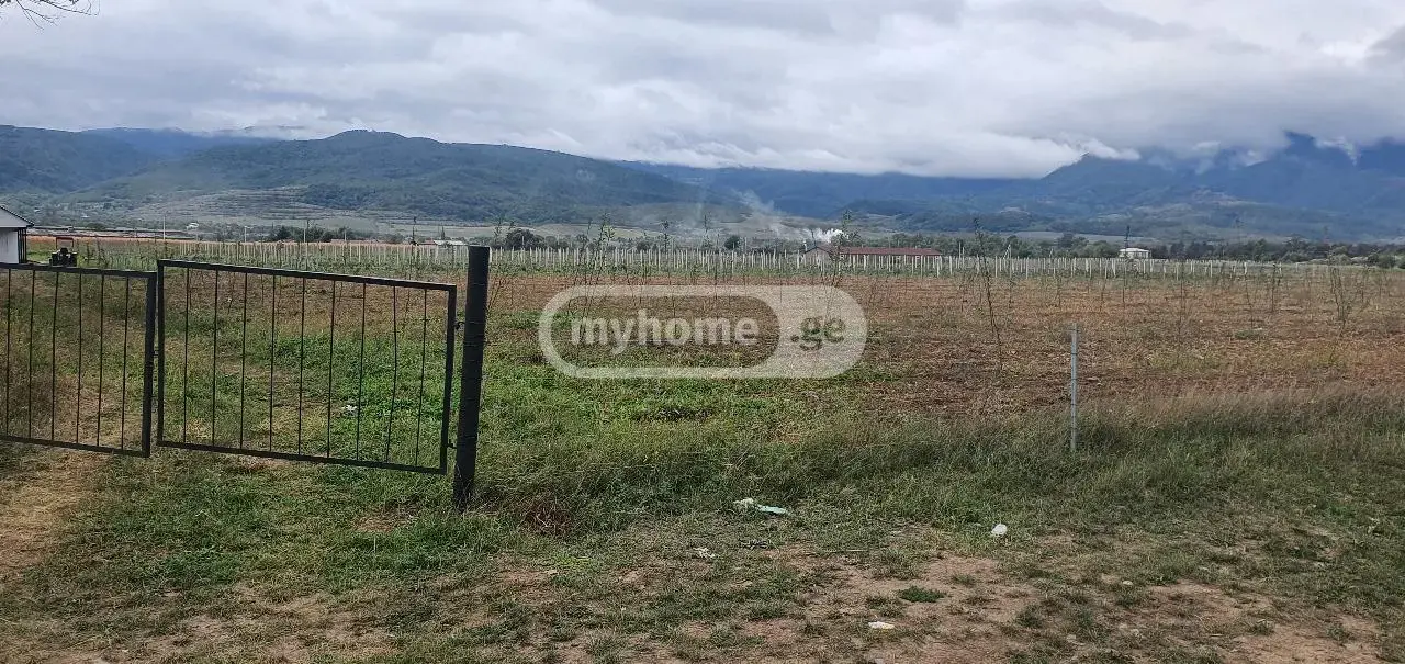 For Sale Sasoplo-Sameurneo Land Plot Khashurshi view 6