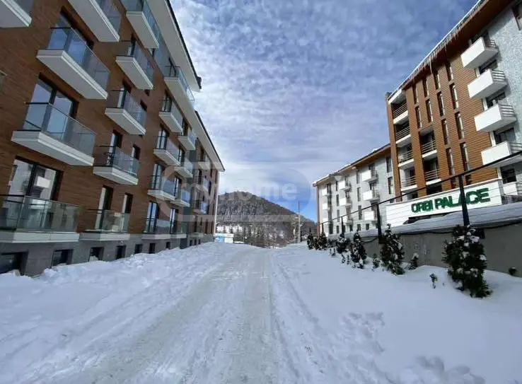 Аренда 1-комната Квартира в Bakurianshi view 10
