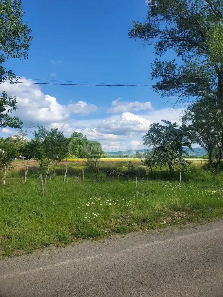 For Sale Sasoplo-Sameurneo Land Plot Dushetis Munitsipalitetshi view 2