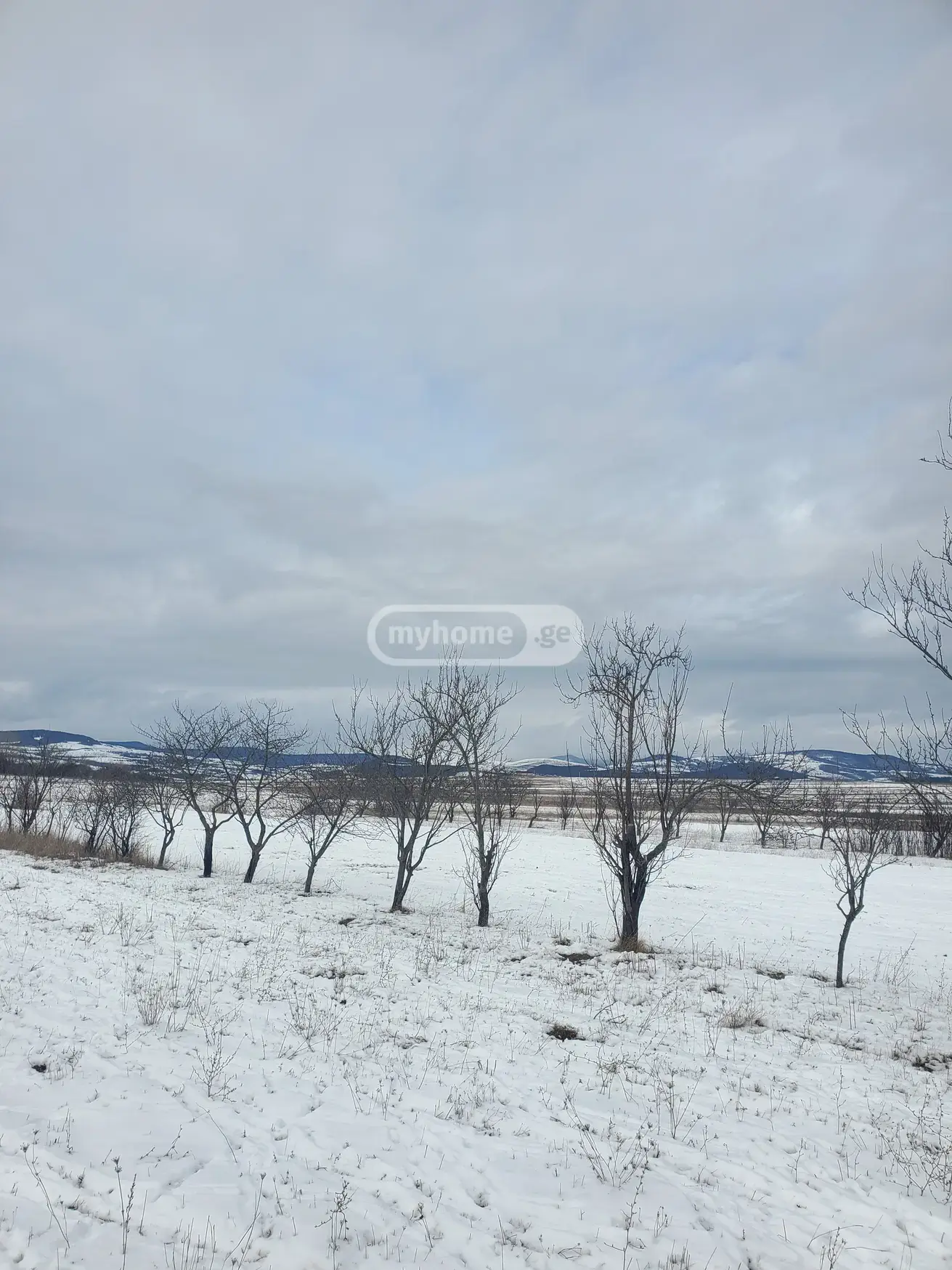 For Sale Sasoplo-Sameurneo Land Plot Dushetis Munitsipalitetshi view 27