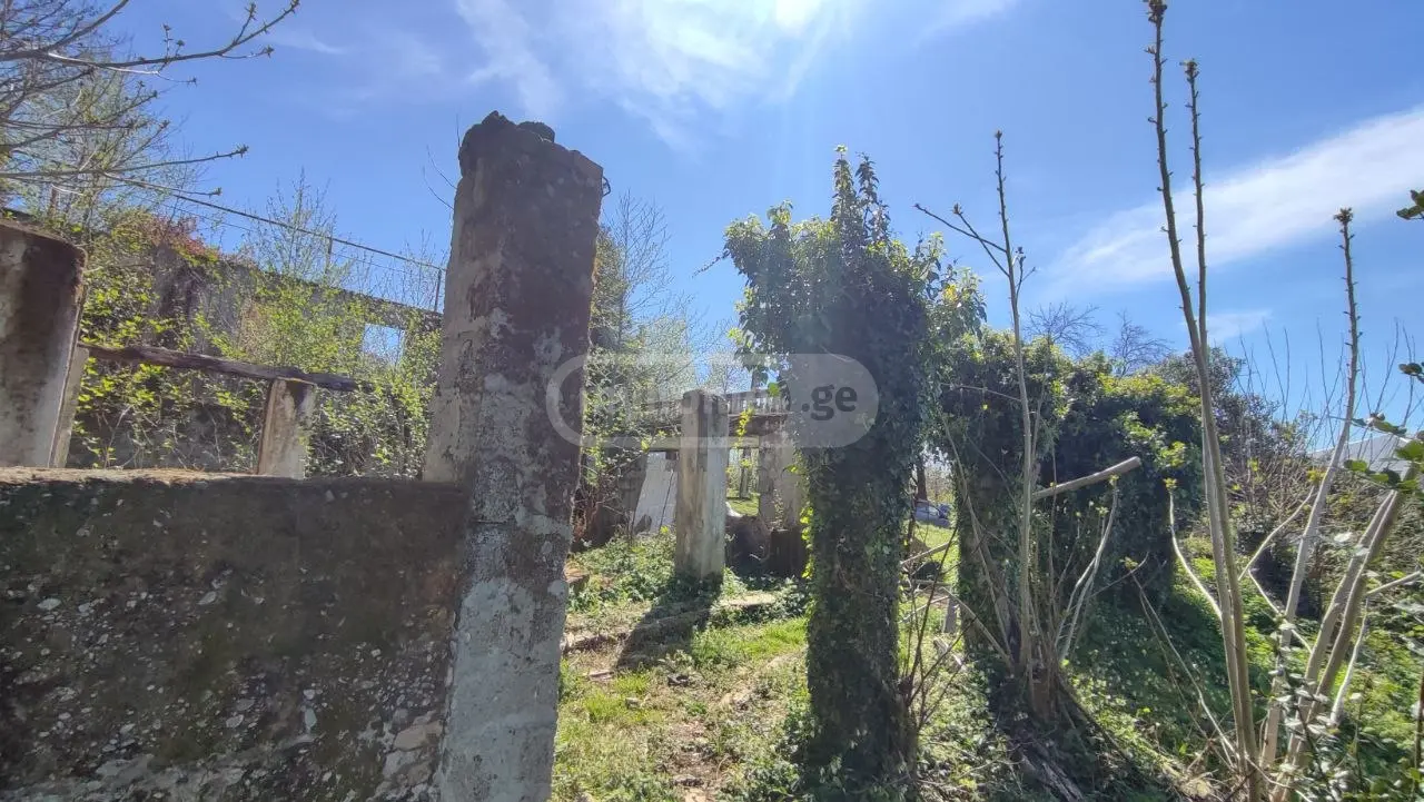 For Sale Ara Sasoplo-Sameurneo Land Plot Kobuletis Munitsipalitetshi view 8
