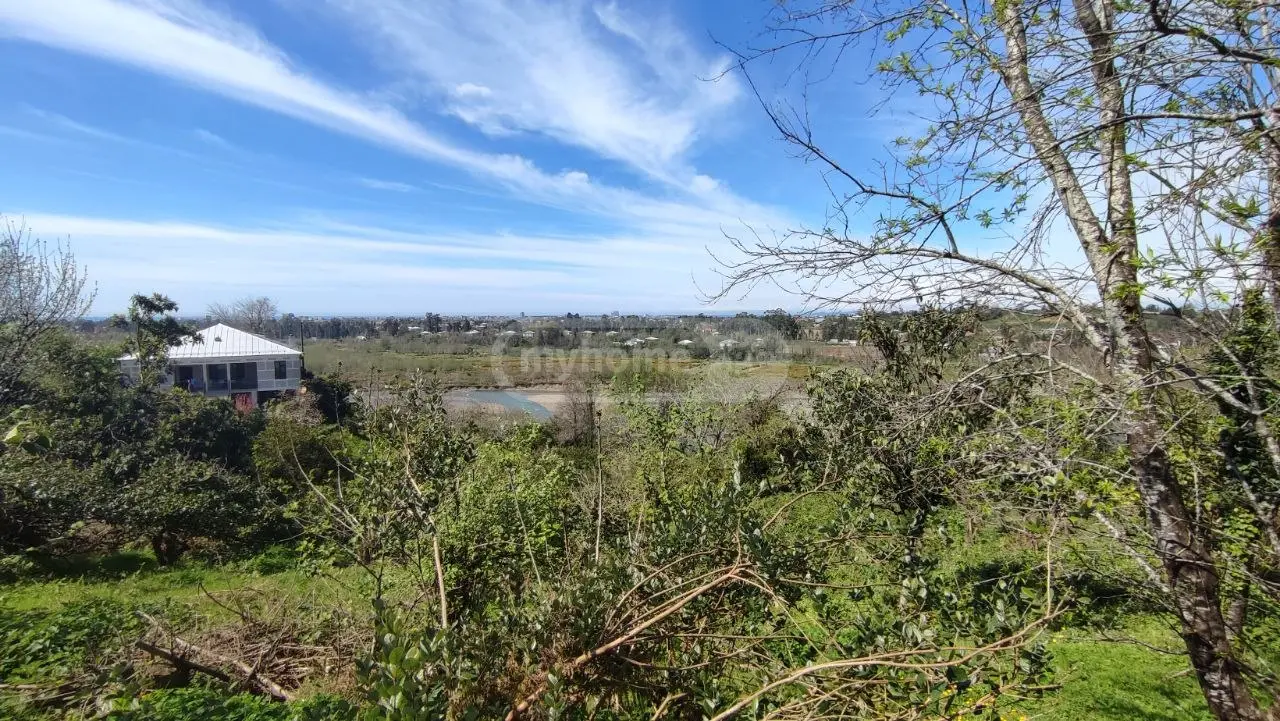For Sale Ara Sasoplo-Sameurneo Land Plot Kobuletis Munitsipalitetshi view 3