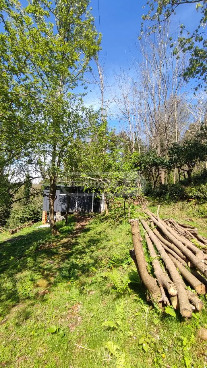 For Sale Ara Sasoplo-Sameurneo Land Plot Kobuletis Munitsipalitetshi view 6