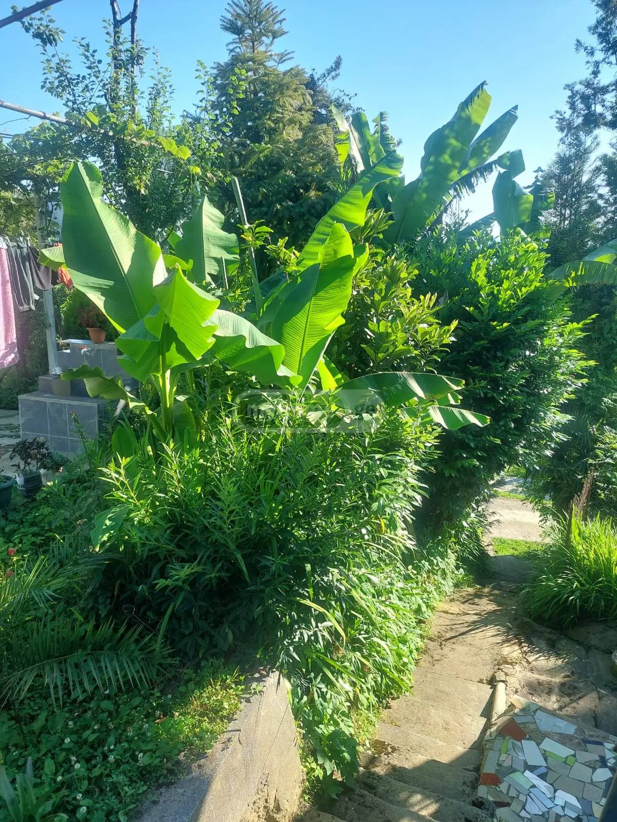 For Rent 4 Room Private House Kobuletis Munitsipalitetshi view 2