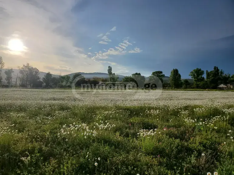 For Sale Sasoplo-Sameurneo Land Plot Dushetis Munitsipalitetshi view 6