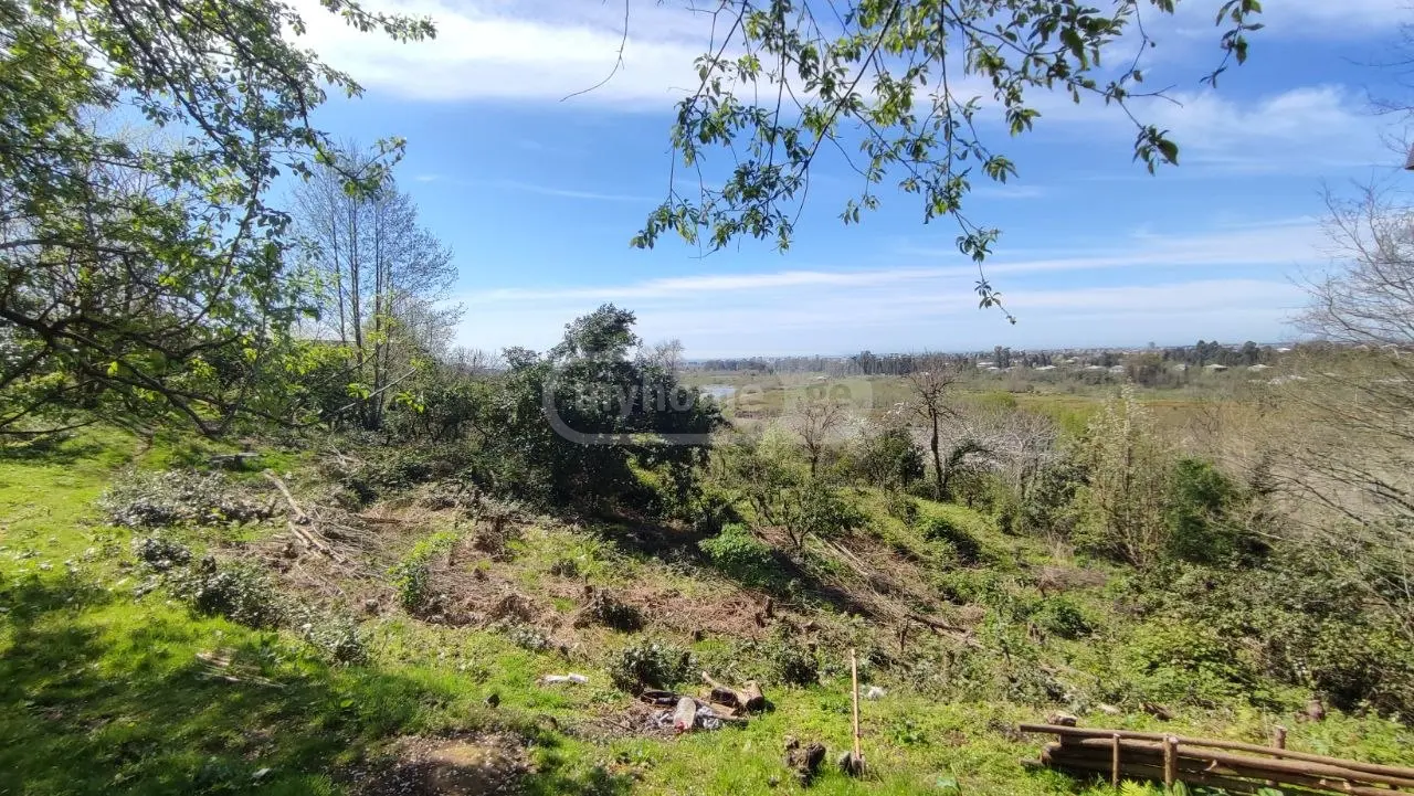 For Sale Ara Sasoplo-Sameurneo Land Plot Kobuletis Munitsipalitetshi view 1