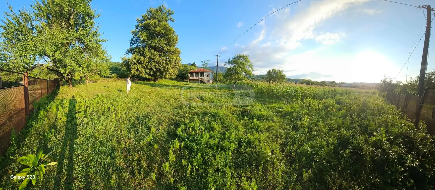 For Sale Ara Sasoplo-Sameurneo Land Plot Baghdatshi view 4