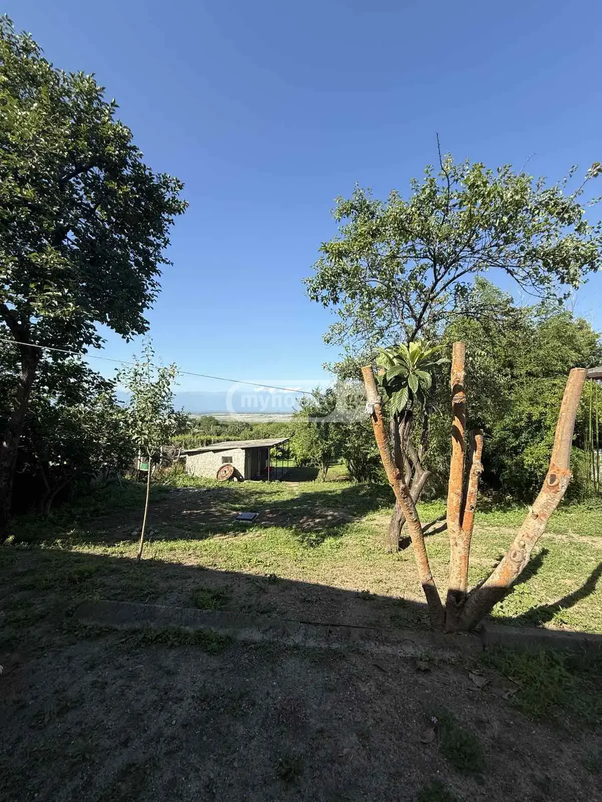 Продажа 6-комната Частный дом в Gurjaanshi view 2