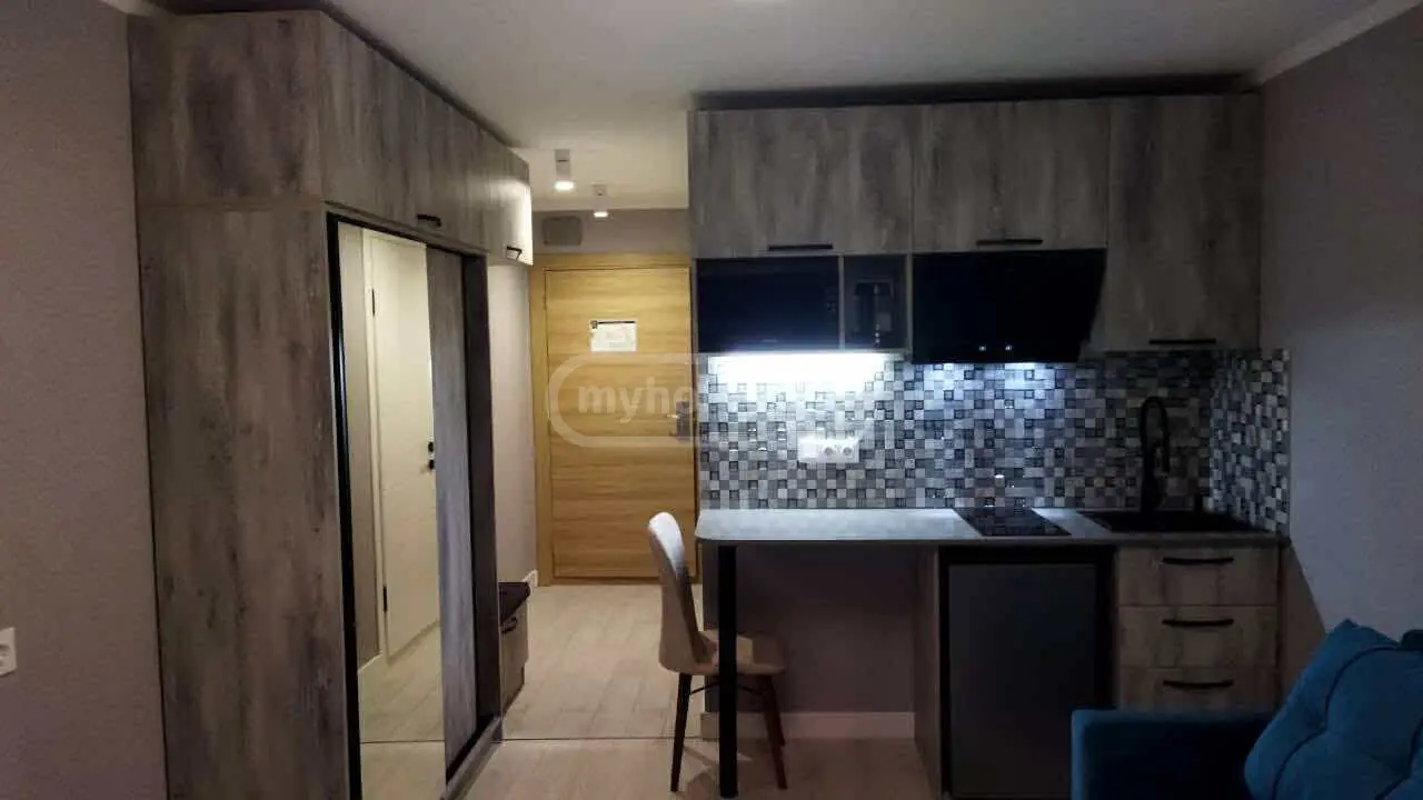 For Rent 1 Room Apartment Bakurianshi view 10