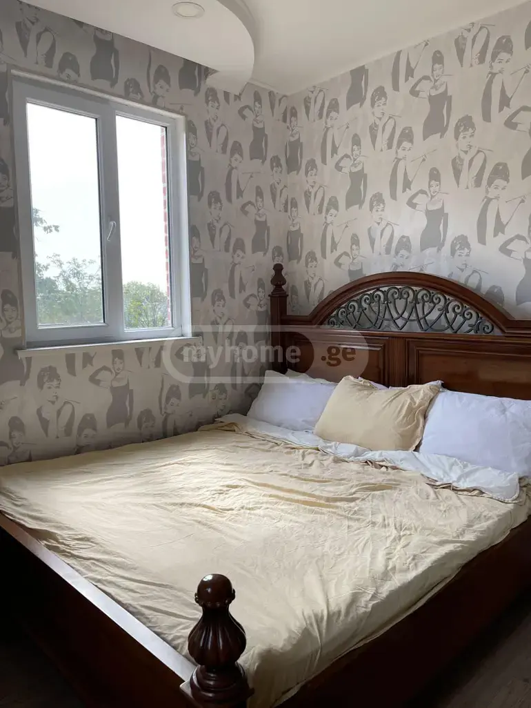 For Rent 7 Room Country House Gardabnis Munitsipalitetshi view 7