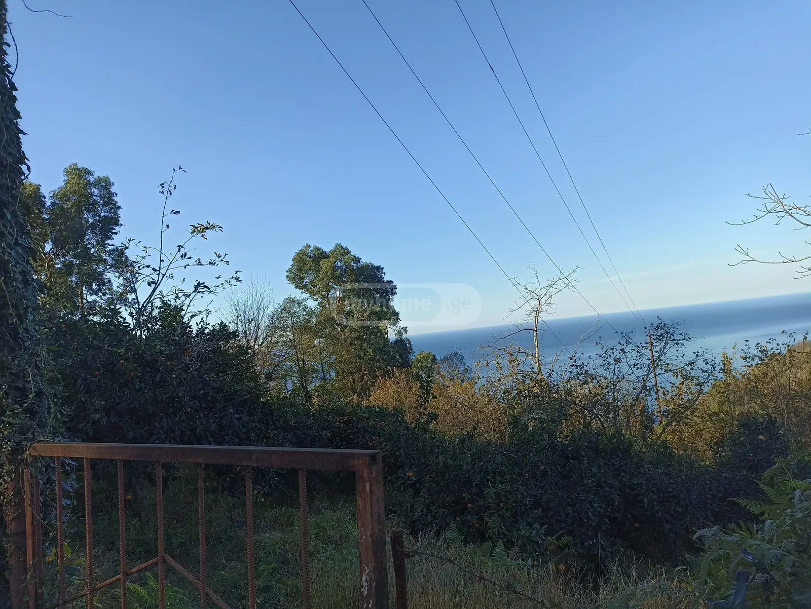 For Sale Sasoplo-Sameurneo Land Plot In Batumi view 6