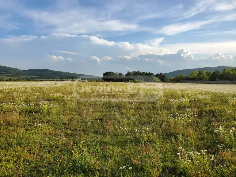 For Sale Sasoplo-Sameurneo Land Plot Dushetis Munitsipalitetshi view 9
