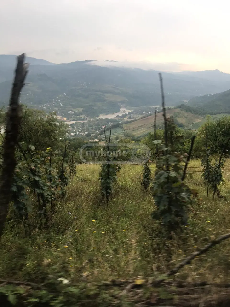 იყიდება მიწა / ნაკვეთი Ambrolaurshiში view 2