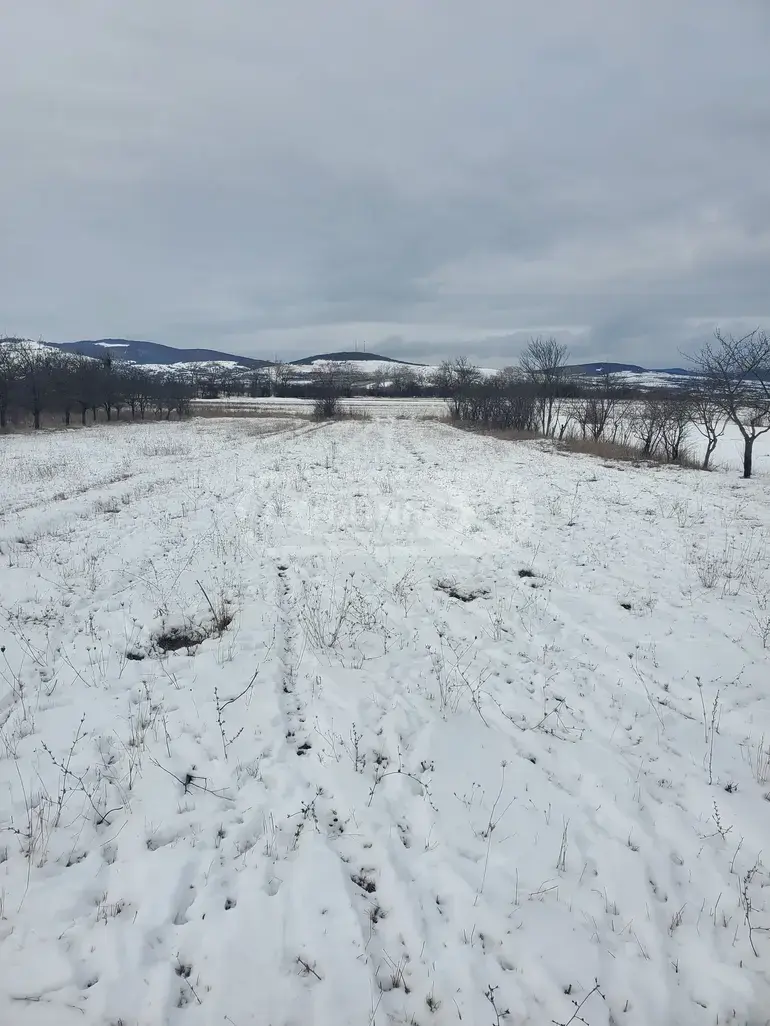 For Sale Sasoplo-Sameurneo Land Plot Dushetis Munitsipalitetshi view 12