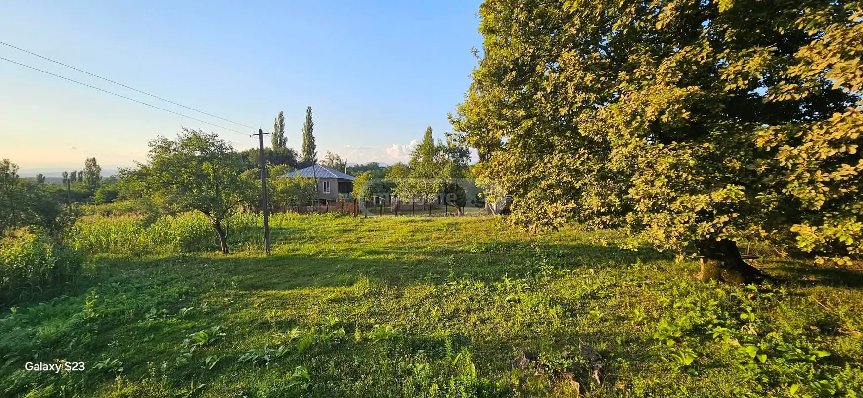 For Sale Ara Sasoplo-Sameurneo Land Plot Baghdatshi view 16
