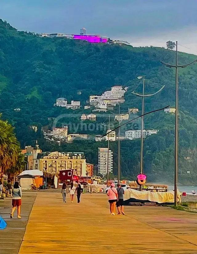Daily Rent 1 Room Apartment Khelvachauris Munitsipalitetshi view 16