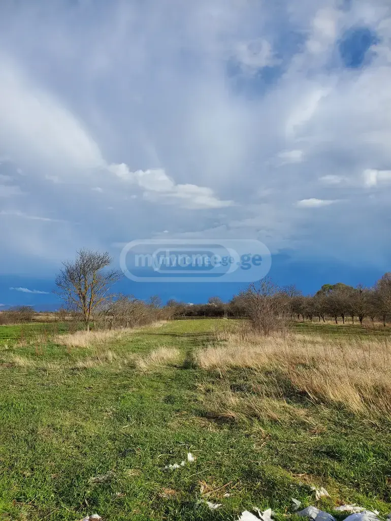 For Sale Sasoplo-Sameurneo Land Plot Dushetis Munitsipalitetshi view 5