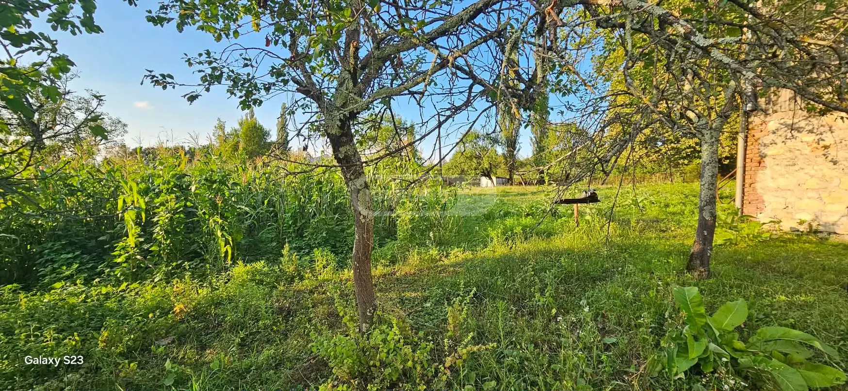 For Sale Ara Sasoplo-Sameurneo Land Plot Baghdatshi view 6