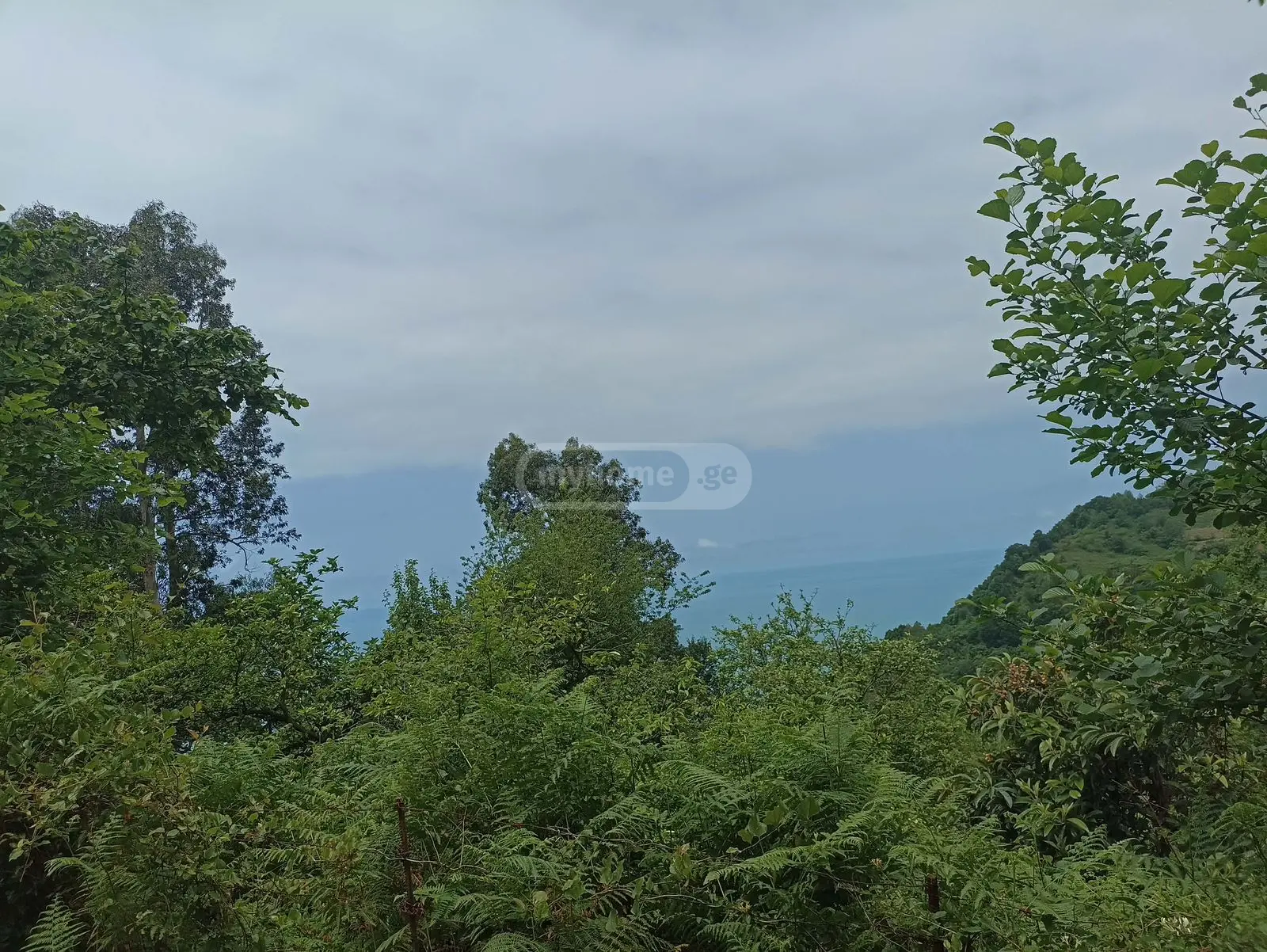 For Sale Sasoplo-Sameurneo Land Plot In Batumi view 2