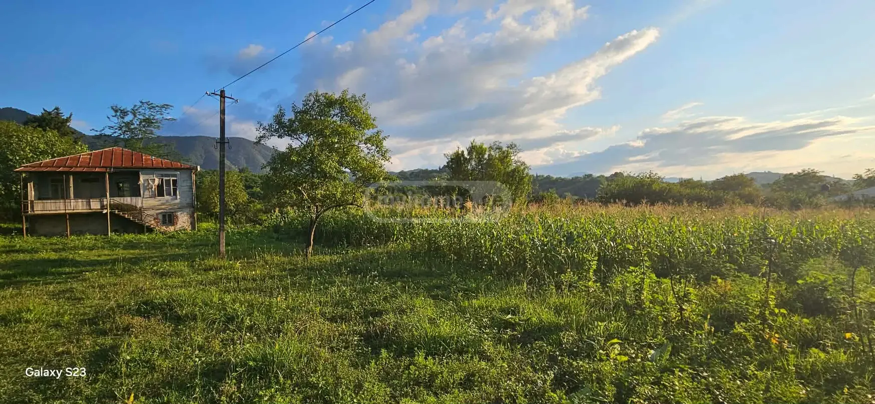 For Sale Ara Sasoplo-Sameurneo Land Plot Baghdatshi view 2