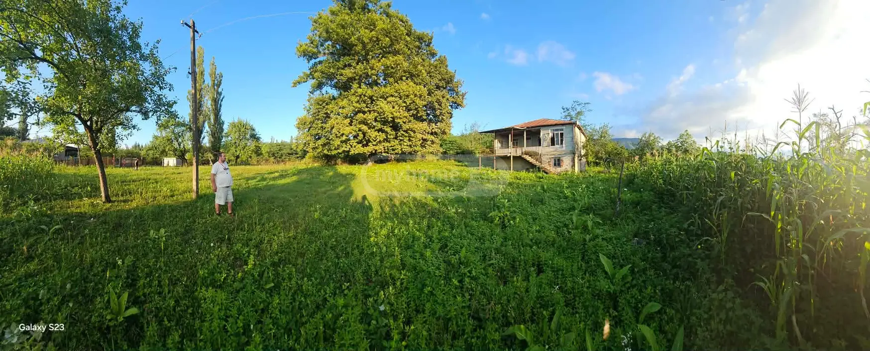 For Sale Ara Sasoplo-Sameurneo Land Plot Baghdatshi view 7