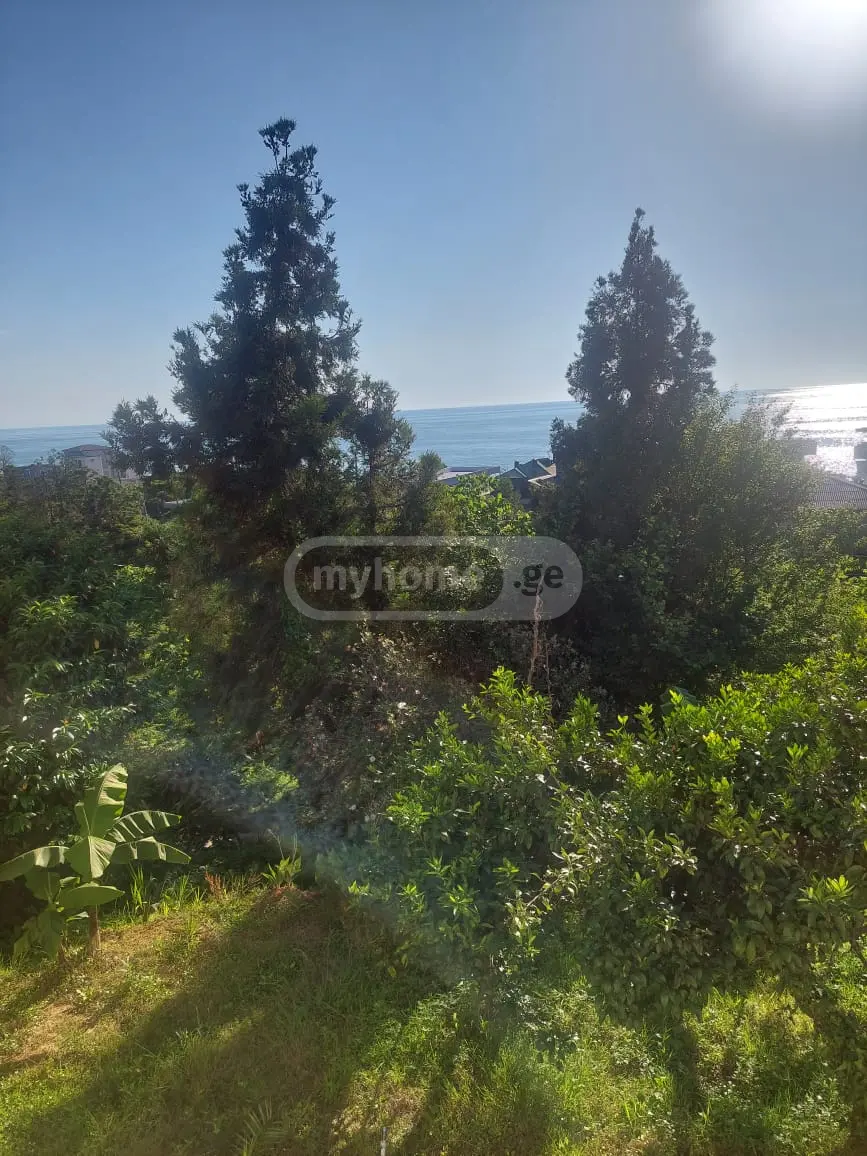 For Rent 4 Room Private House Kobuletis Munitsipalitetshi view 1