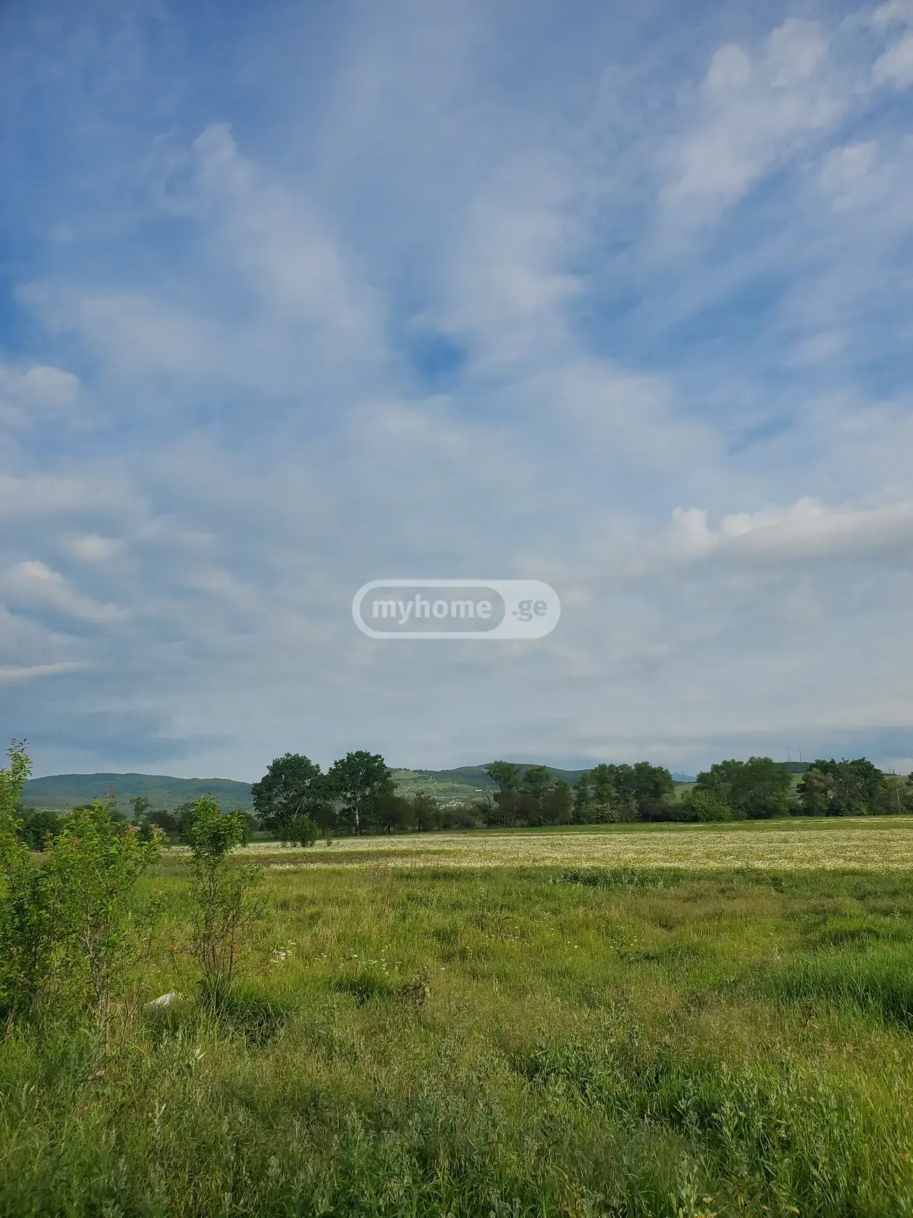 For Sale Sasoplo-Sameurneo Land Plot Dushetis Munitsipalitetshi view 21