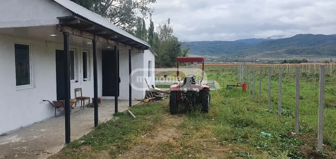 For Sale Sasoplo-Sameurneo Land Plot Khashurshi view 1