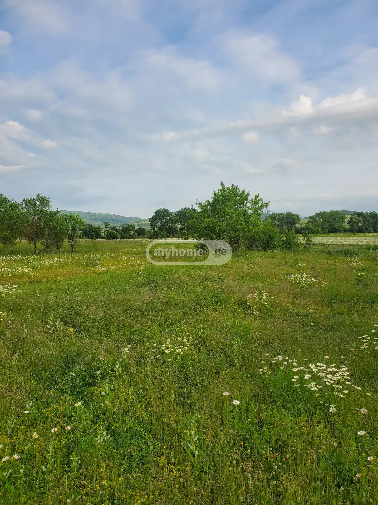 For Sale Sasoplo-Sameurneo Land Plot Dushetis Munitsipalitetshi view 19