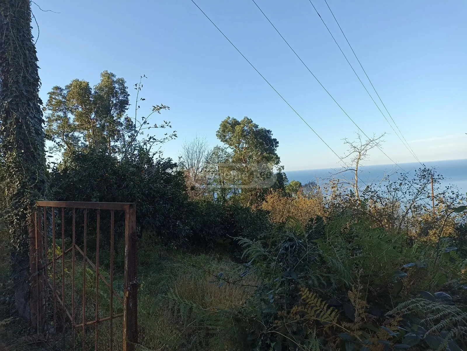 For Sale Sasoplo-Sameurneo Land Plot In Batumi view 4